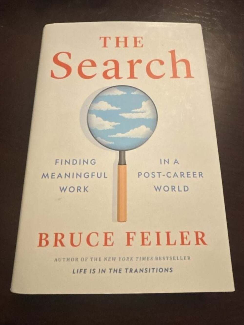 The Search: Finding Meaningful Work in a Post-Career World by Bruce Feiler